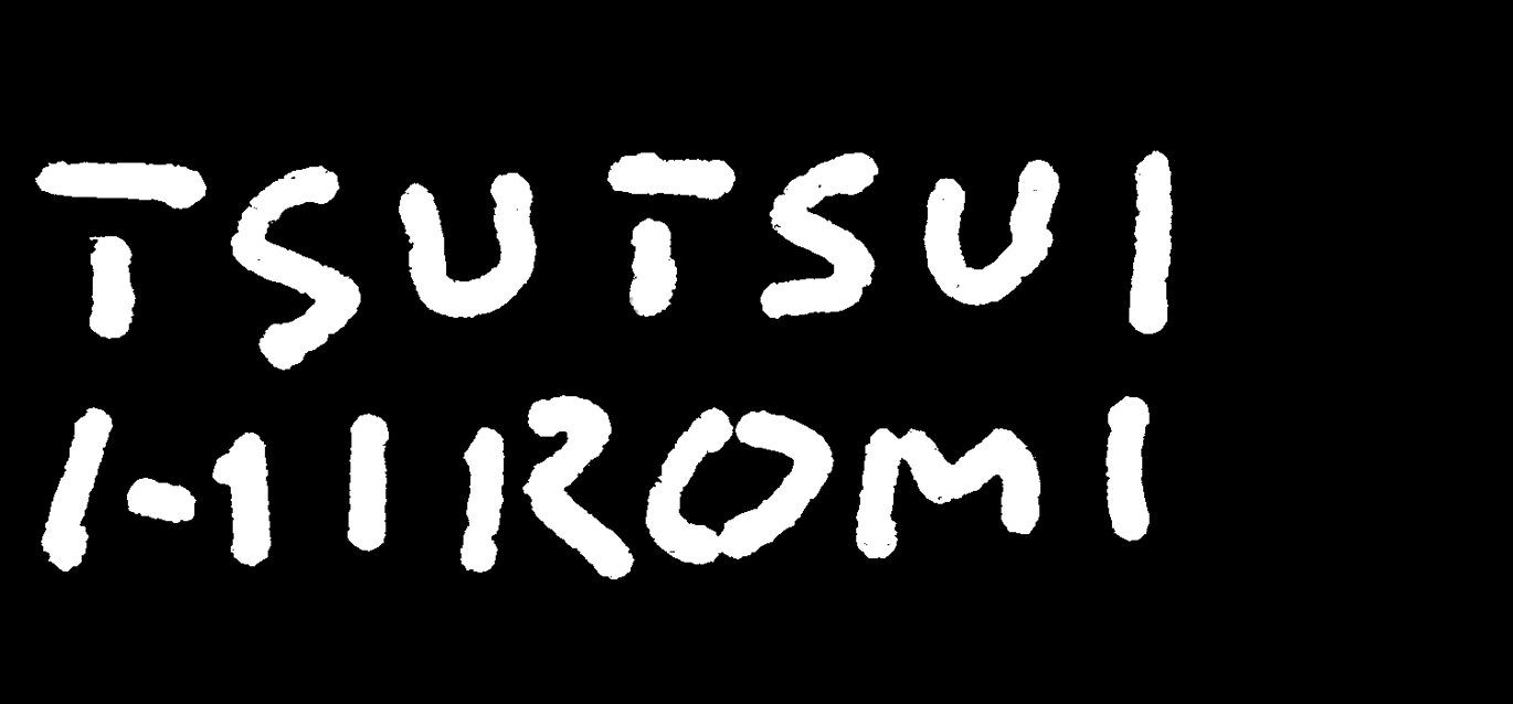 TSUTSUI HIROMI